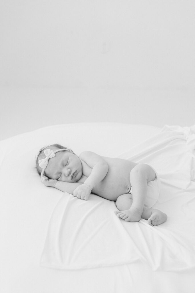 hannahwargophotography  tampaphotography tampabayphotographer newbornphotographer familyphotographer couplesphotographer
stpetephotographer tampaphotographer tampaphotos tampacouplesphotos photographer tampabay stpete